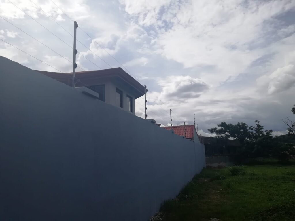 WhatsApp Image 2025-03-19 at 2.07.37 PM (2)
