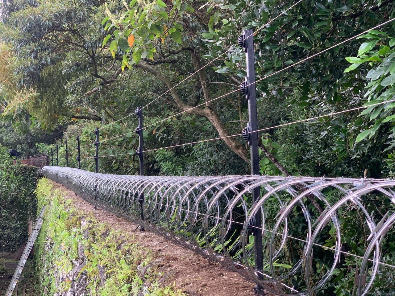 WhatsApp Image 2026-03-03 at 8.27.45 AM (6)